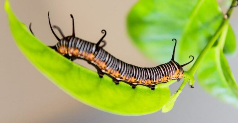 Qué son las ciencias naturales y cuáles son sus ramas principales