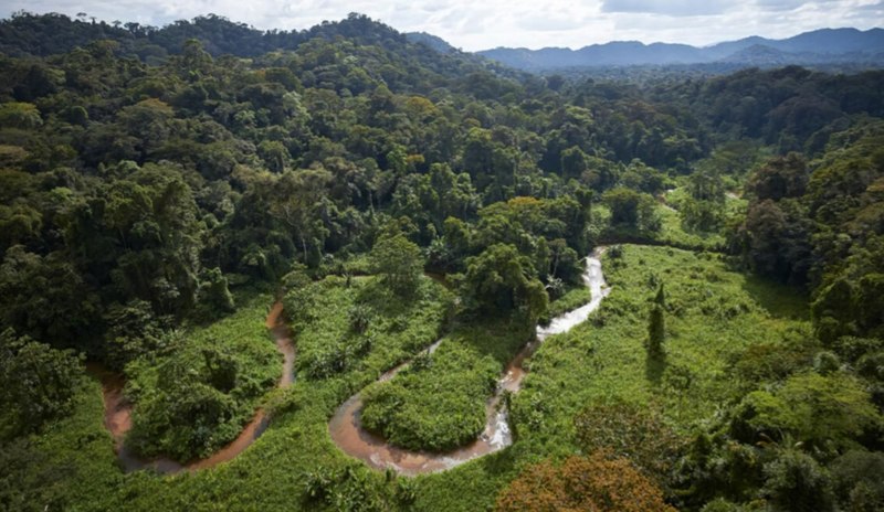 que son las selvas amazonicas su ubicacion y habitantes
