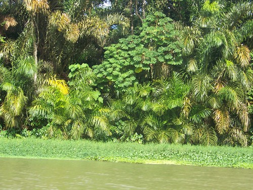 que son los corredores ecologicos y por que son importantes