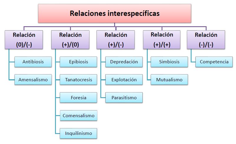 que son los factores bioticos y cuales son sus ejemplos y rasgos