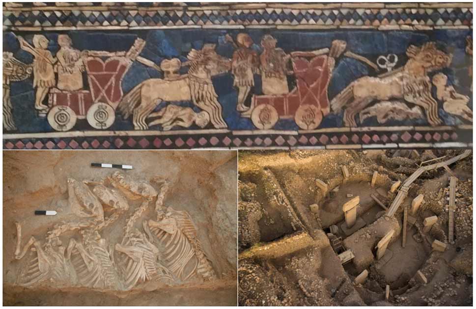 que son los hibridos animales y cuales son sus 15 ejemplos