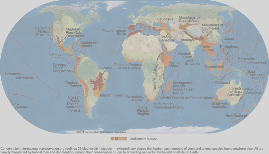 que son los hotspots de biodiversidad y por que son importantes