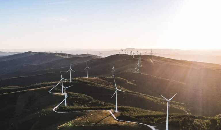 Cómo se forma el petróleo: un viaje desde sus orígenes