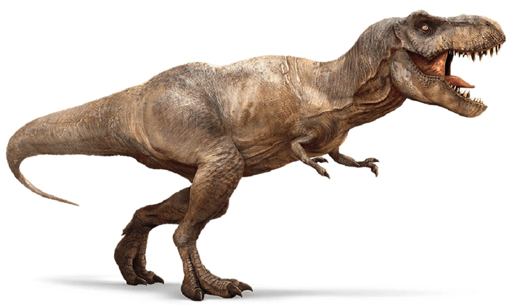 que tipos y especies de dinosaurios herbivoros