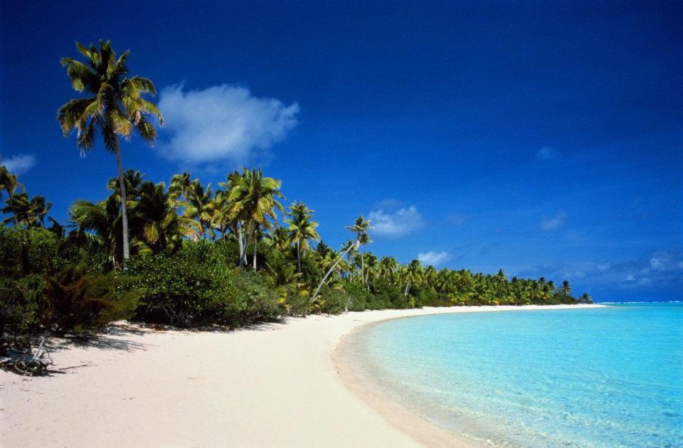 quien es cristina mittermeier y su impacto en fotografia ambiental