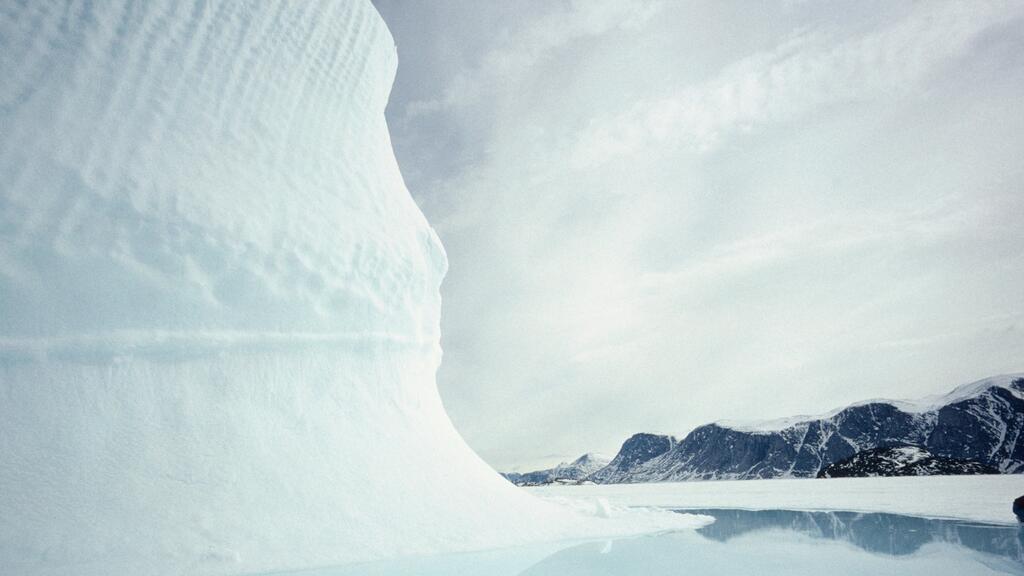 quienes son los gusanos de hielo que viven en los glaciares