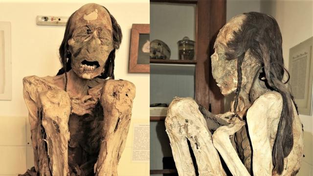 Ramsés III: La ciencia revela el misterio de su asesinato