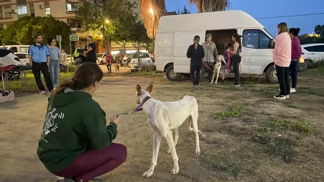 Recuerdan las ratas quiénes les ayudan y devuelven el favor