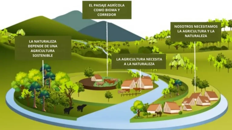 Relevancia del ecosistema: El agua y su relación vital