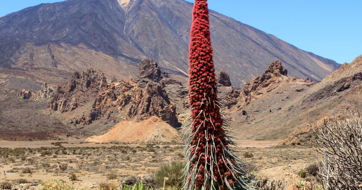 ribera descubre su flora fauna y ecosistemas unicos