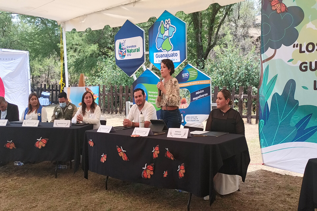 santuarios de mariposa monarca en mexico un tesoro natural