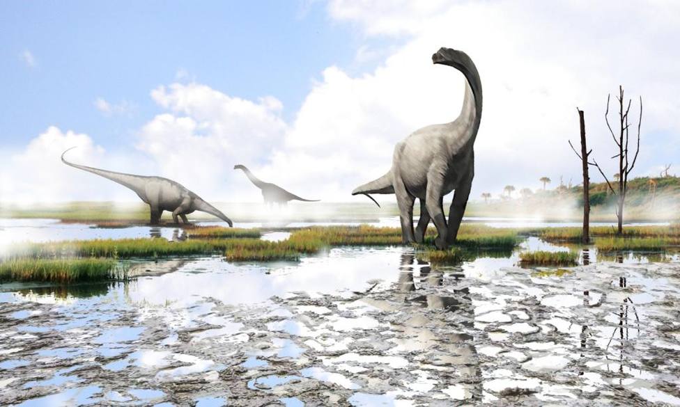 se hallo un embrion prehistorico en un huevo de tortuga gigante