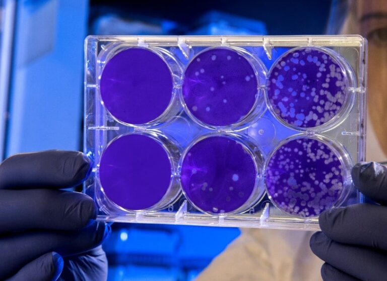 Se han hallado microplásticos en el agua dulce de la Antártida