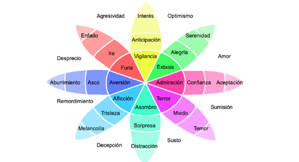 sentimientos emocionales como se producen en los humanos