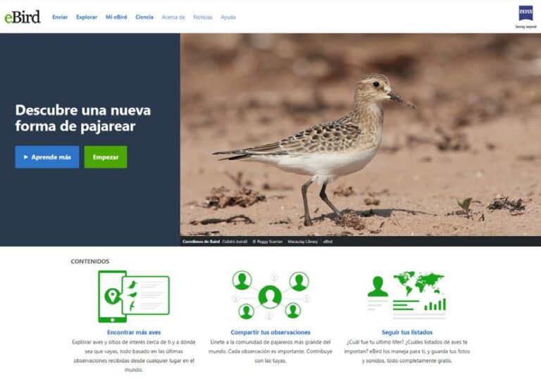 Serpientes: Descubre curiosidades y cuidados esenciales