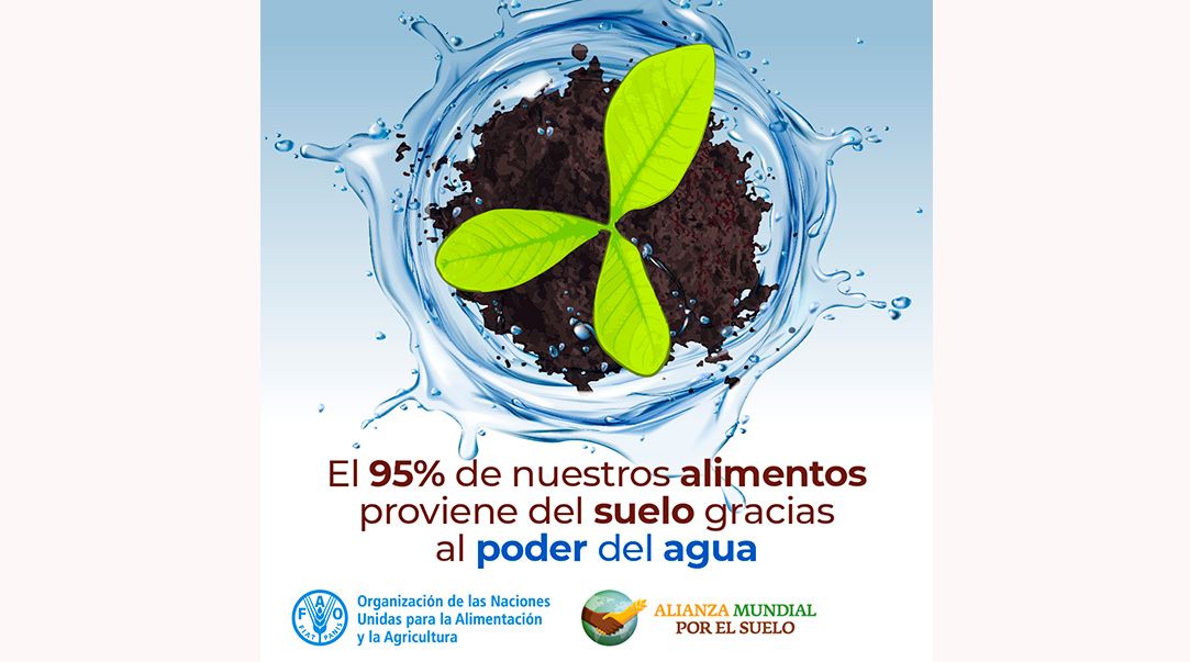 son el suelo y el agua esenciales para la vida en el planeta