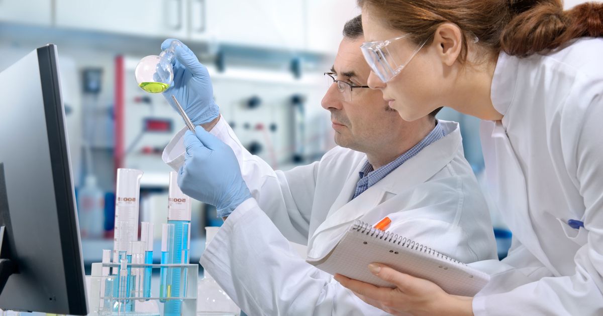 son los ritmos circadianos la clave del nobel de medicina 2017