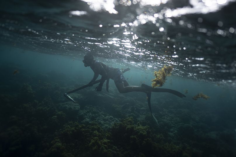 surf olimpiadas 2024 en tahiti por que critican los surfistas