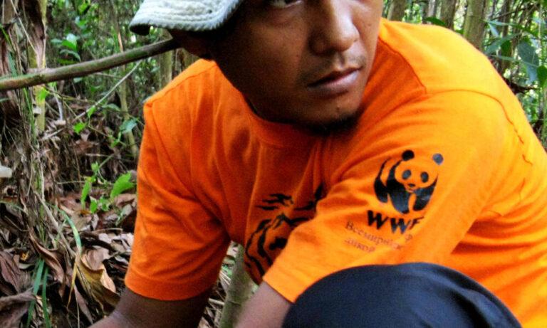 Tigre del Libro de la Selva: Evolución de sus Personajes Hoy