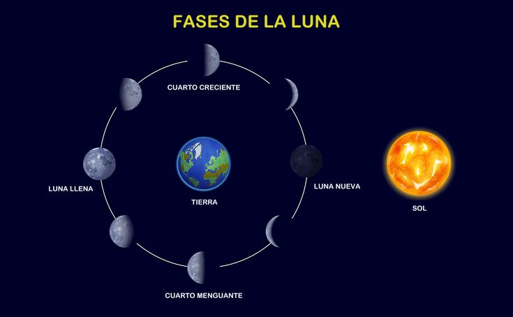 Tipología de Luna: Descubre las fases lunares y sus nombres