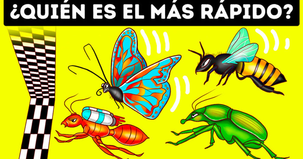 tipos de ciempies conoce los 25 fascinantes 100 pies