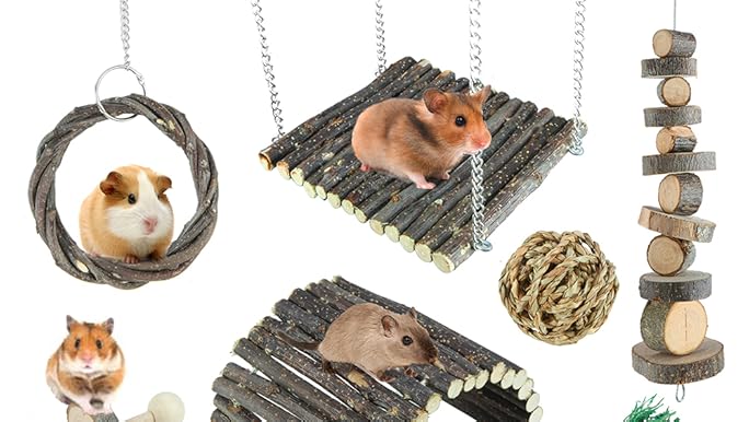 Tipos de hámster: Descubre 11 razas y sus características
