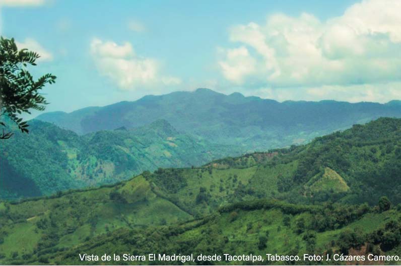 ubicacion de la selva explorando la biodiversidad