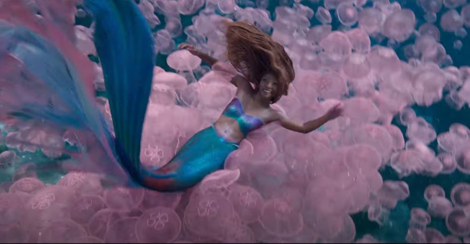 ursula de la sirenita es realmente un pulpo de disney
