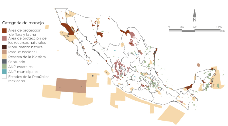 vegetal estrategia mexicana para la conservacion ambiental