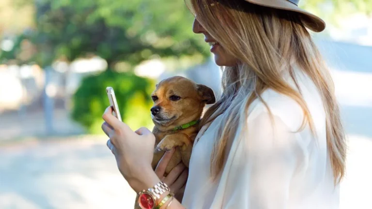 Veterinarios Oviedo: Descubre los Mejores para tu Mascota