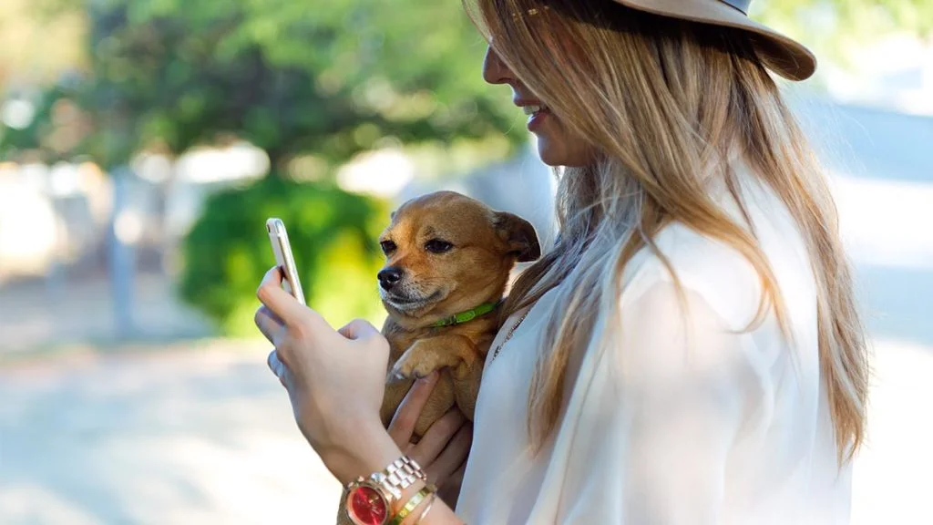 veterinarios oviedo descubre los mejores para tu mascota
