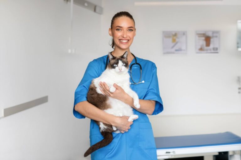 Veterinarios urgencia: 7 mejores clínicas 24 horas en Madrid
