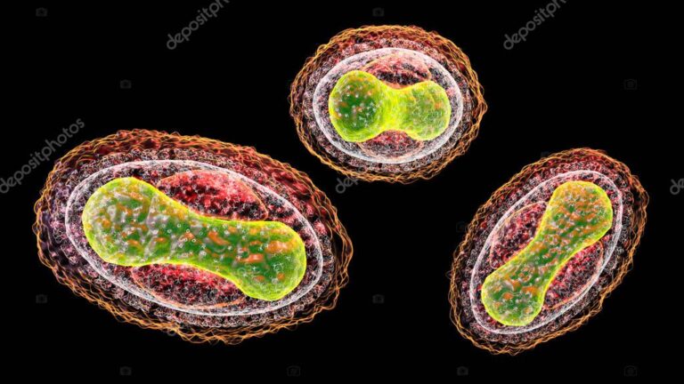 Viruela: Todo lo que sabemos sobre el virus variola
