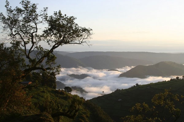 Virunga: La lucha por proteger el Parque Nacional de Virunga