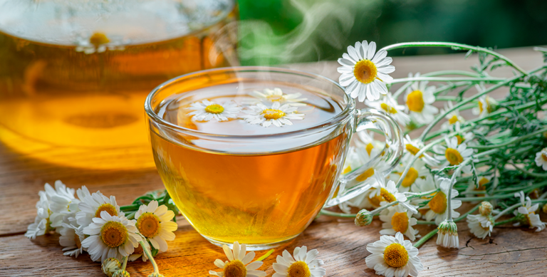 Yuyos para dormir: Descubre las 40 mejores infusiones